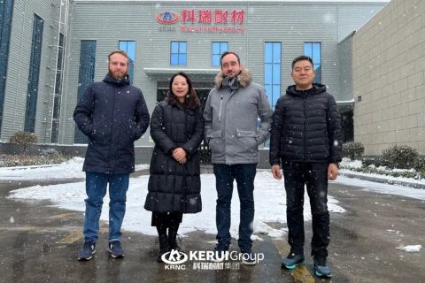 『龙年新征程』热烈欢迎意大利客人到访滚球官网耐材集团参观考察！